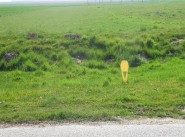 Kauf verkauf Limoges Fourches